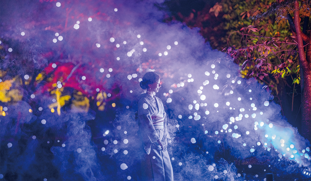 清流園 鳳凰の涙