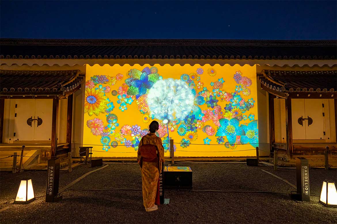 DANDELION PROJECT
