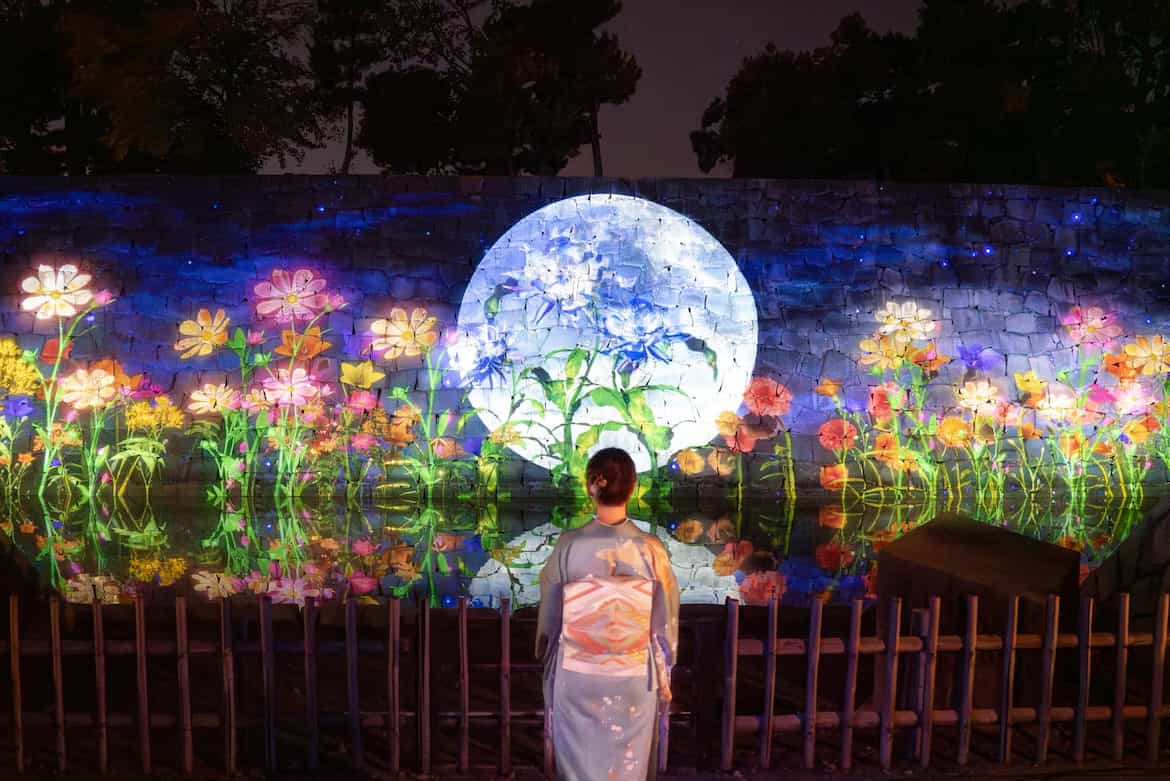 内堀 プロジェクションマッピング、インタラクティブアート「秋花爛漫」（しゅうからんまん）