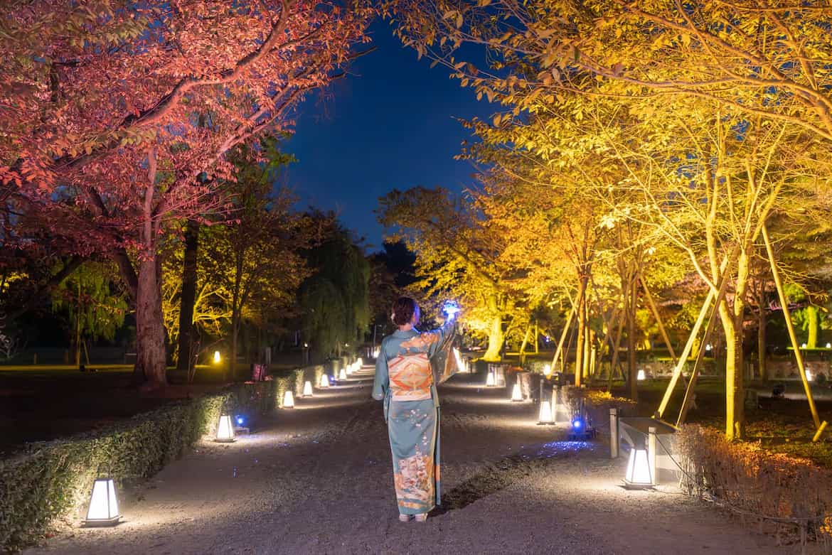 清流園 紅葉ライトアップ 「秋色の道」(しゅうしょくのみち）