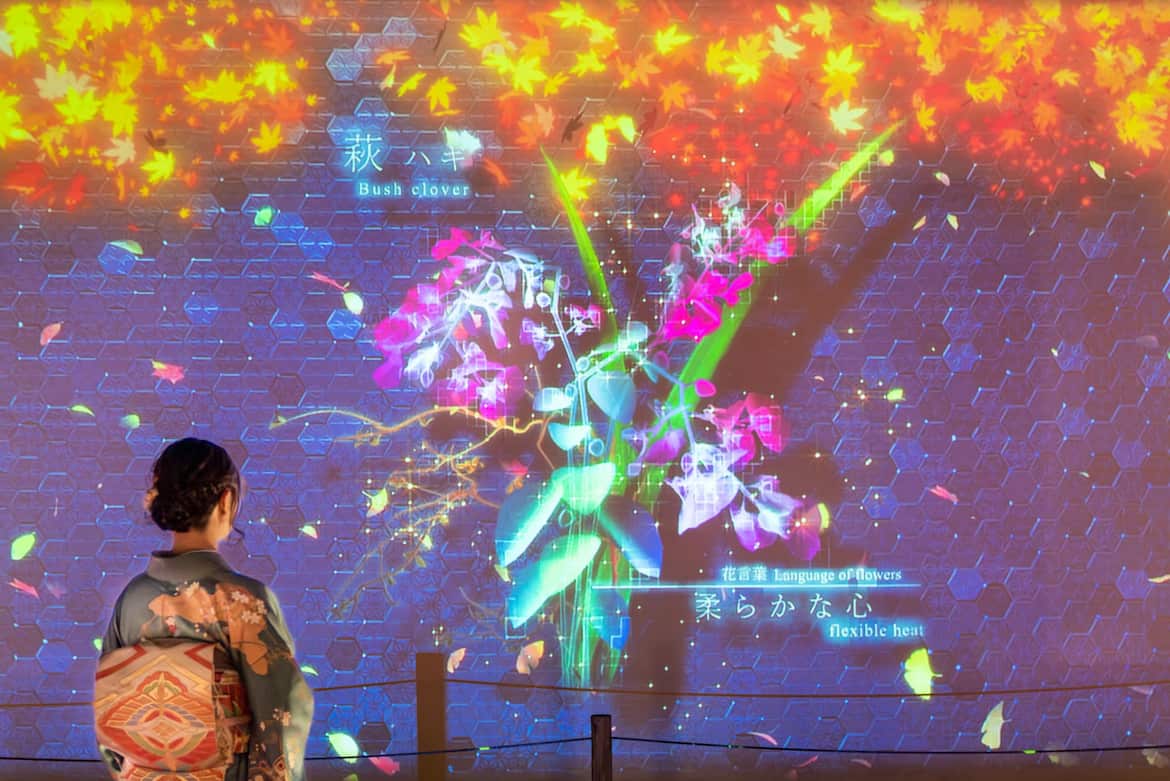 台所前庭 インタラクティブアート「花あそび」