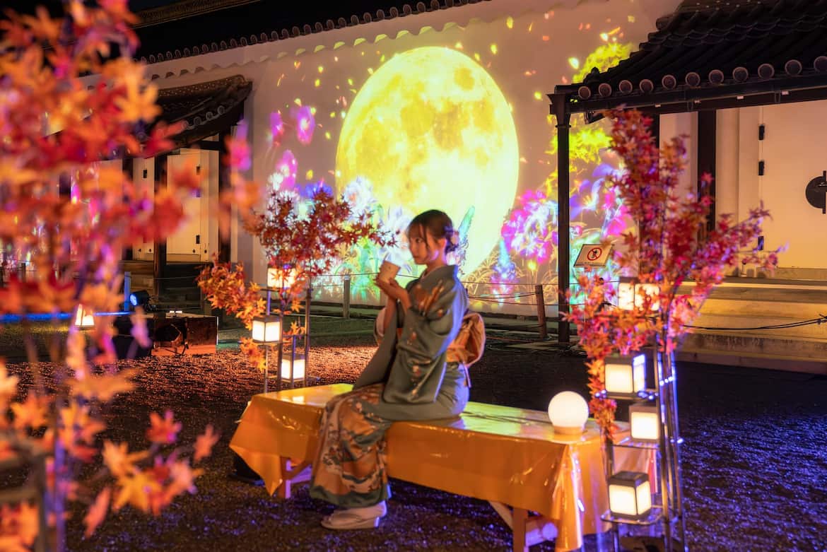 台所前庭 プロジェクションマッピング、飲食エリア「花見月夜」