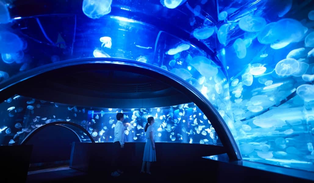 NAKED FLOWERS 2023 秋 世界遺産・二条城×京都水族館　セット券※大人のみ