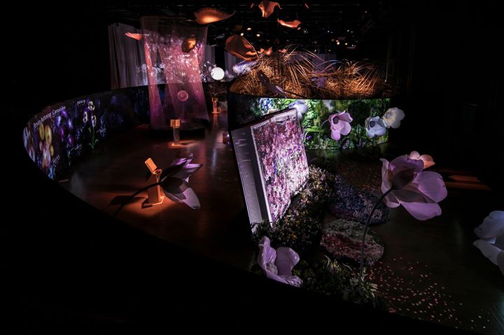 「FLOWERS by NAKED 2017 －立春－」は明日まで FLOWERS BY NAKED