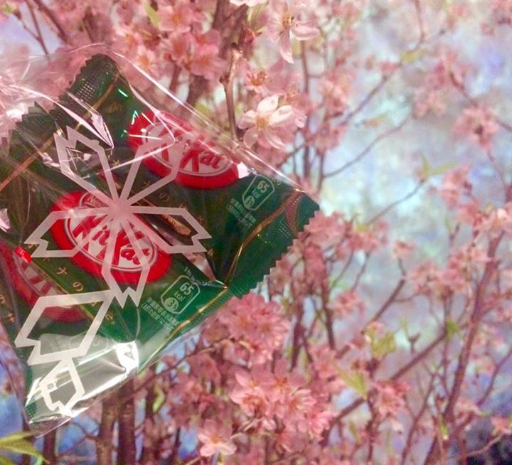 「FLOWERS by NAKED 2017 ー立春ー」をお得に楽しめる学生割引＋宇治抹茶味キットカット プレゼント FLOWERS BY NAKED