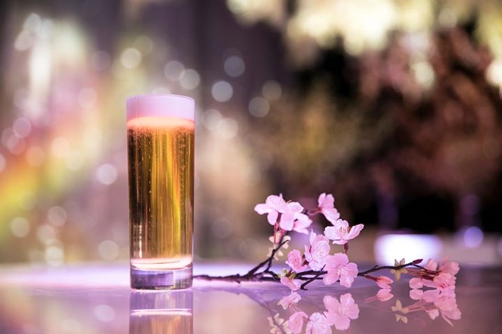 平日夜限定！仕事帰りに素敵な空間で一杯「夜桜割」 FLOWERS BY NAKED