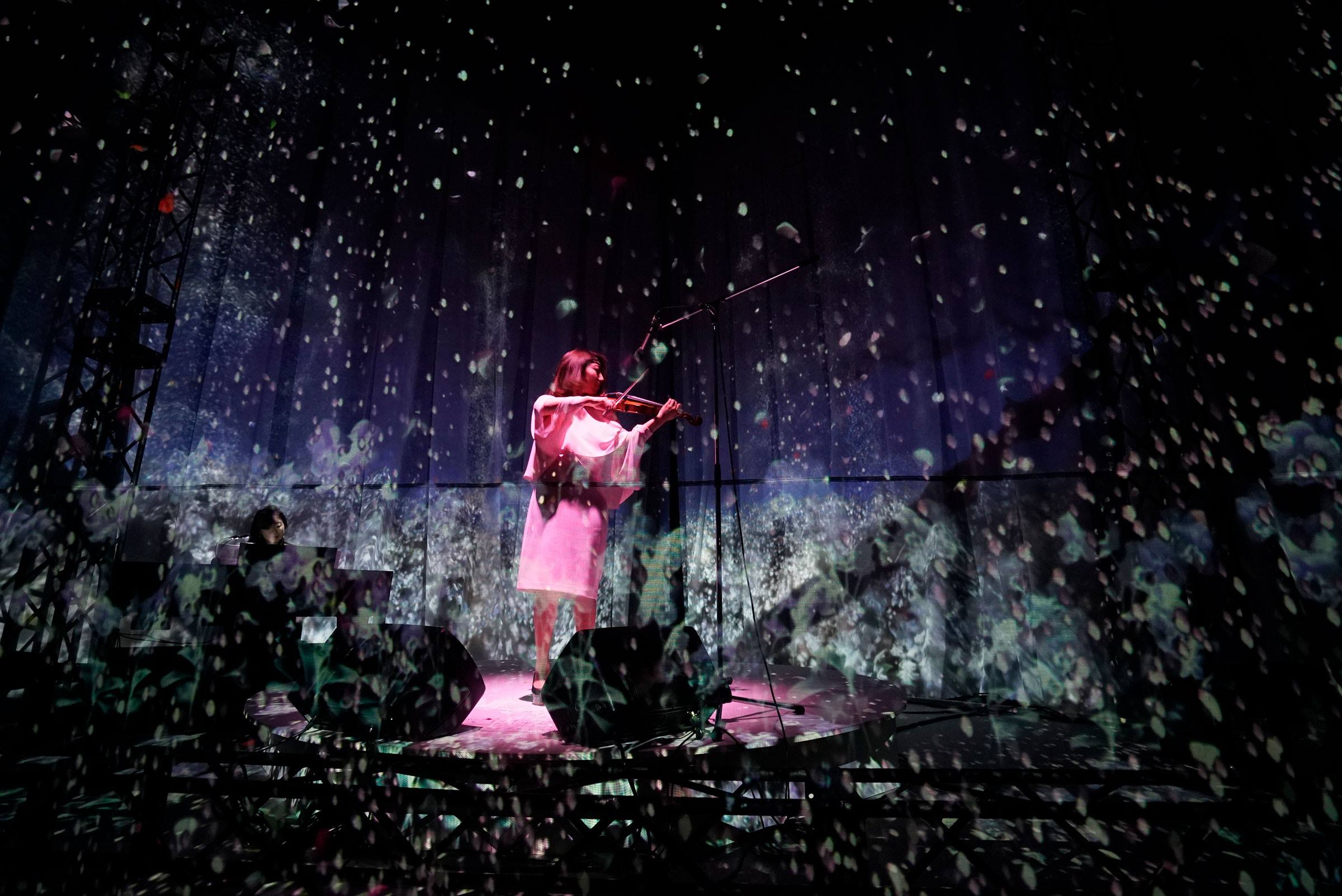 音とセンシングで一夜限りの花畑が出現、FLOWERS by NAKED × ヴァイオリニスト 木嶋真優 アートコンサート FLOWERS BY NAKED