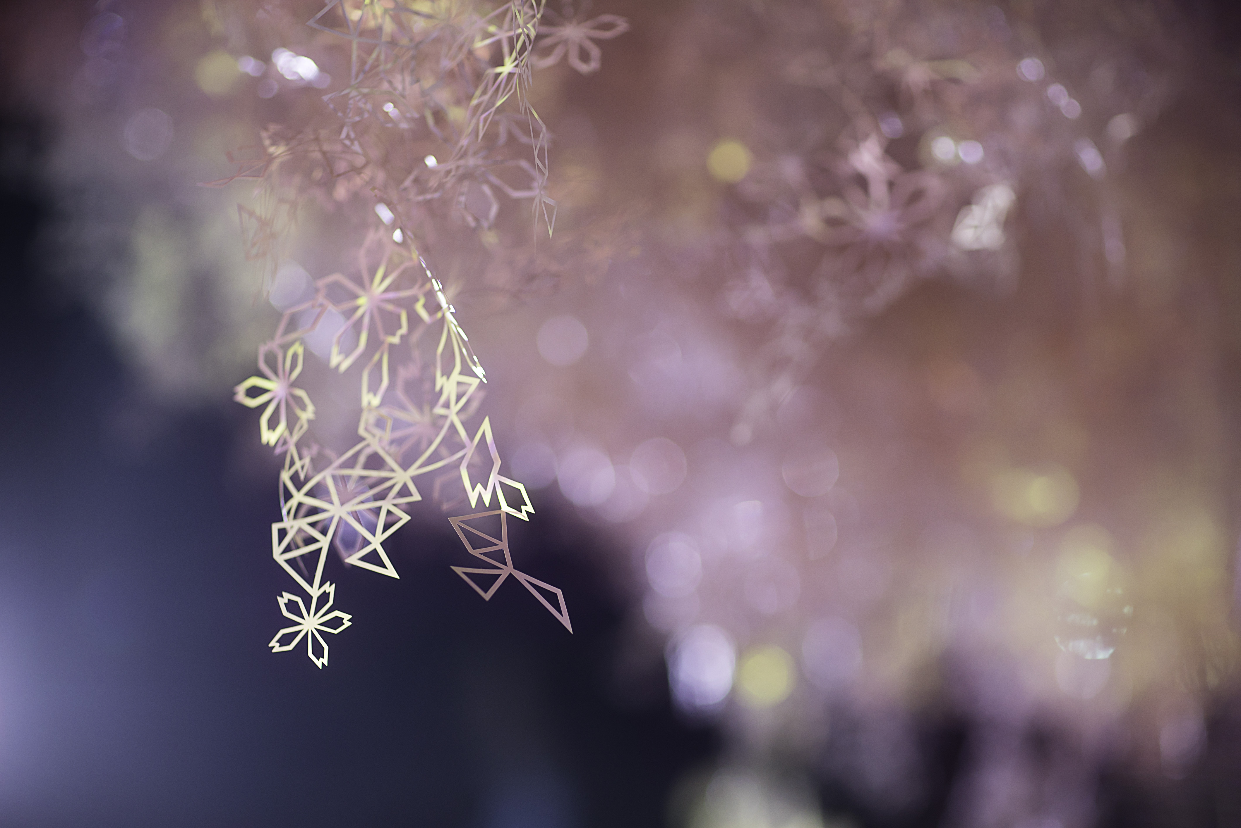 2/23〜2/26の17時以降は来場者にお花をプレゼント！ FLOWERS BY NAKED