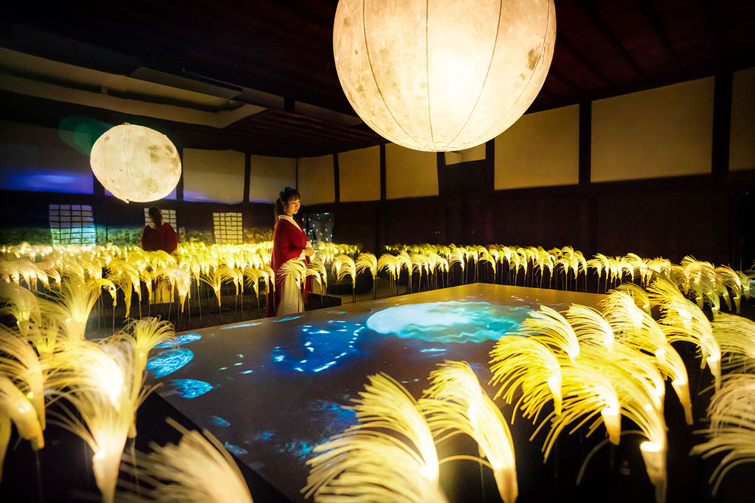 チケット事前購入がおすすめ、京都 二条城で開催中のFLOWERS BY NAKED FLOWERS BY NAKED