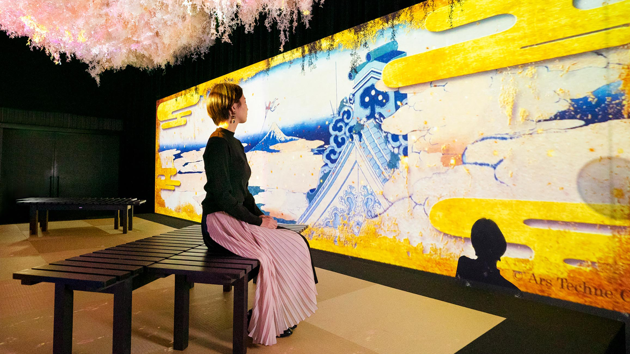 360° Around Mt. Fuji 〜NAKED meets 北斎〜